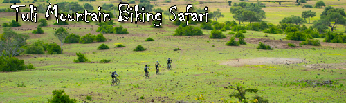 Tuli Mountain Biking Safari