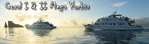 Coral I & II Mega Yachts