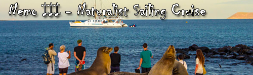 Nemo Naturalist Sailing Cruise - Nemo III