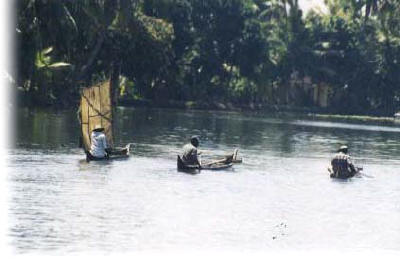 Boats